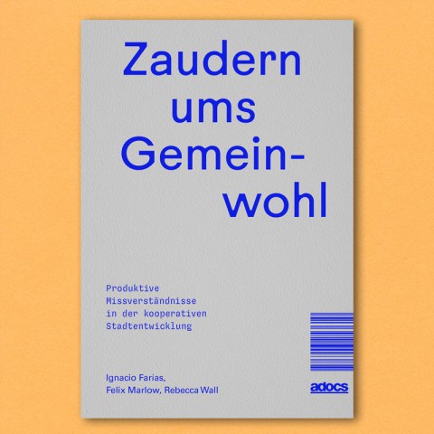 Zaudern ums Gemeinwohl Ignacio Farías, Felix Marlow, Rebecca Wall