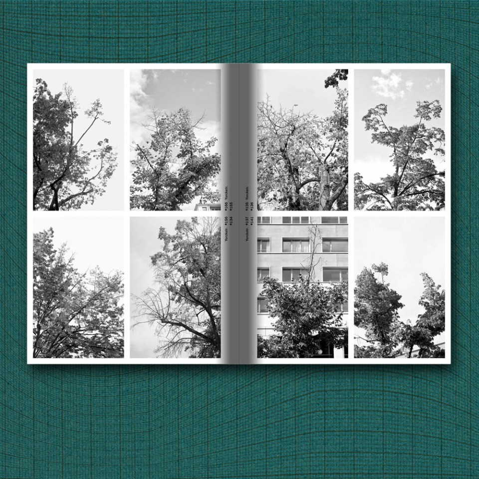 Architektur in Gebrauch 8 Berliner Bäume