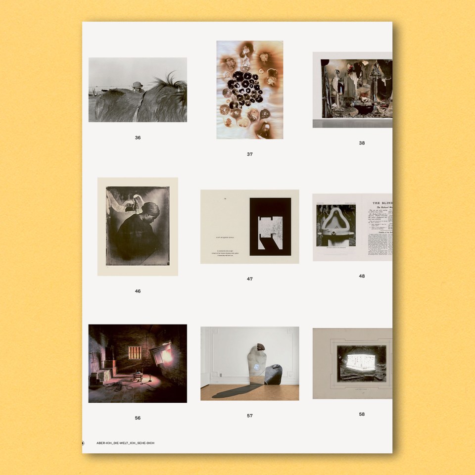 9. Triennale der Photographie 2026 Hamburg, Alliance, Infinity, Love - In Face of the Other